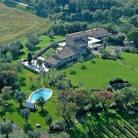 Fattoria Pianetti Guest House Manciano Luaran gambar