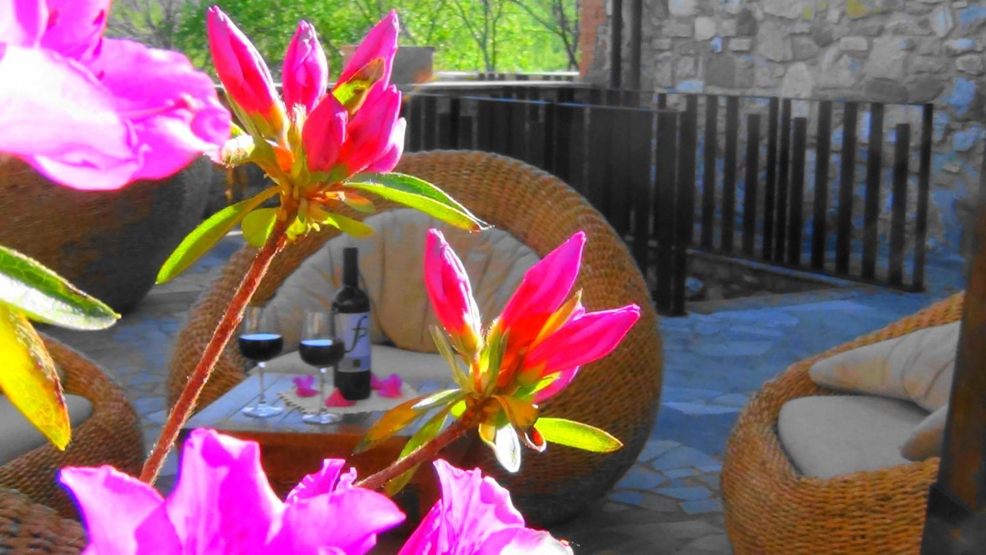 Fattoria Pianetti Guest House Manciano Luaran gambar