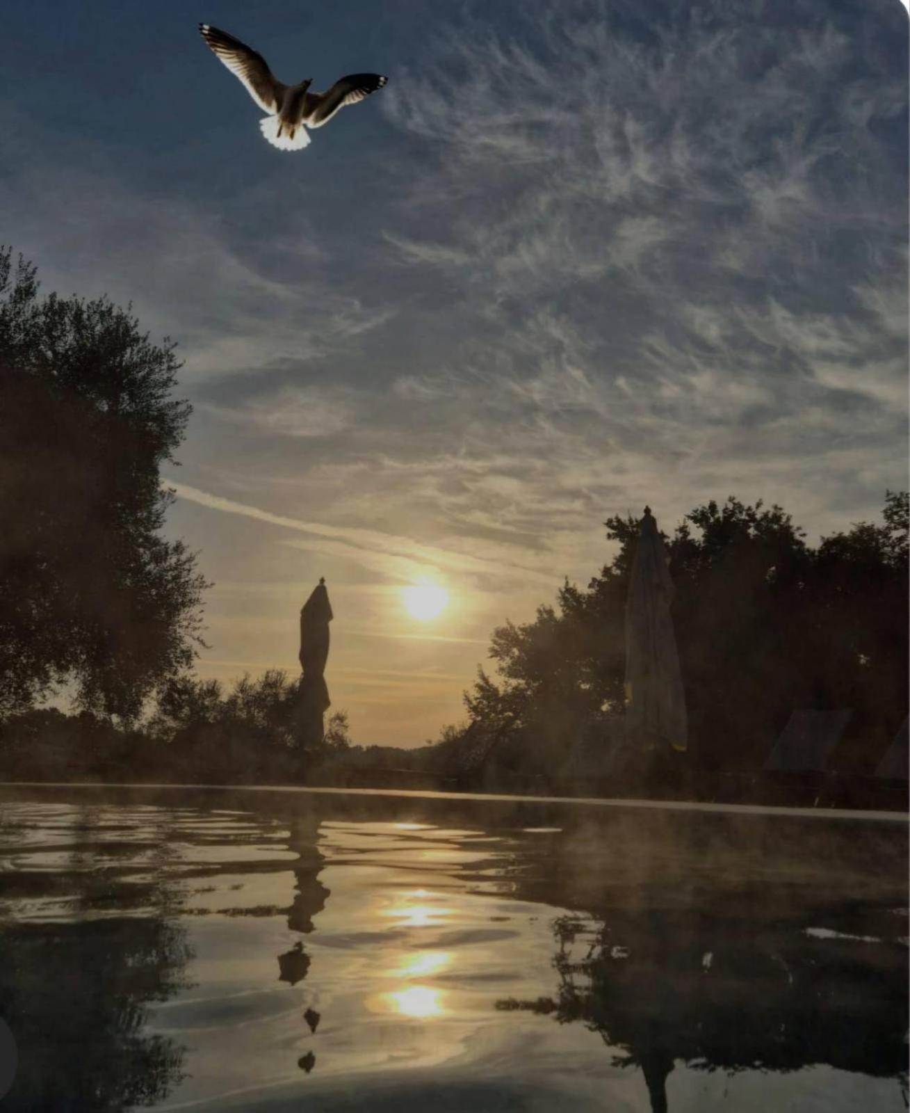 Fattoria Pianetti Guest House Manciano Luaran gambar